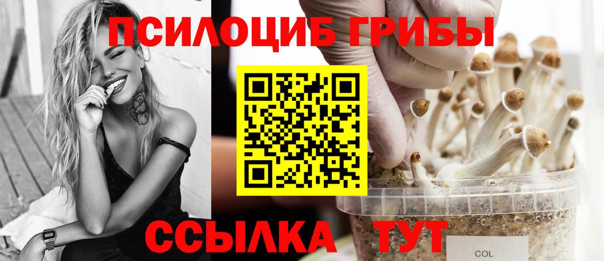 Жигулёвск  Галлюциногенные грибы мухоморы  Вход с VPN 