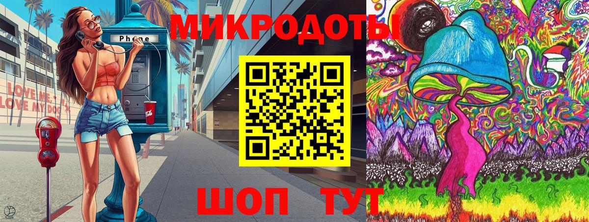 Галлюциногенные грибы Psilocybe Жигулёвск